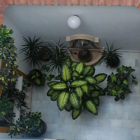 Pensión Costa De La Luz